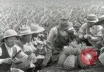 Image Hawaiian travailleurs d'Ananas reposant Hawaii USA, 1916, de la seconde 56 séquences d'archives historiques vidéo 65675022621