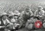 Image Hawaiian travailleurs d'Ananas reposant Hawaii USA, 1916, de la seconde 57 séquences d'archives historiques vidéo 65675022621