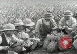 Image Hawaiian travailleurs d'Ananas reposant Hawaii USA, 1916, de la seconde 58 séquences d'archives historiques vidéo 65675022621