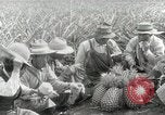 Image Hawaiian travailleurs d'Ananas reposant Hawaii USA, 1916, de la seconde 59 séquences d'archives historiques vidéo 65675022621