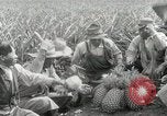Image Hawaiian travailleurs d'Ananas reposant Hawaii USA, 1916, de la seconde 60 séquences d'archives historiques vidéo 65675022621
