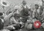 Image Hawaiian travailleurs d'Ananas reposant Hawaii USA, 1916, de la seconde 61 séquences d'archives historiques vidéo 65675022621