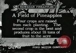 Standbild Ananas geerntet Hawaii USA, 1916, aus Sekunde 1 historischem Filmmaterial Videoclip 65675022622