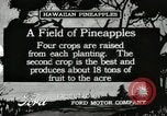 Standbild Ananas geerntet Hawaii USA, 1916, aus Sekunde 3 historischem Filmmaterial Videoclip 65675022622