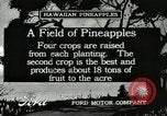 Standbild Ananas geerntet Hawaii USA, 1916, aus Sekunde 4 historischem Filmmaterial Videoclip 65675022622