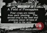 Standbild Ananas geerntet Hawaii USA, 1916, aus Sekunde 6 historischem Filmmaterial Videoclip 65675022622
