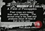 Standbild Ananas geerntet Hawaii USA, 1916, aus Sekunde 8 historischem Filmmaterial Videoclip 65675022622