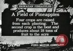 Standbild Ananas geerntet Hawaii USA, 1916, aus Sekunde 9 historischem Filmmaterial Videoclip 65675022622