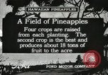 Standbild Ananas geerntet Hawaii USA, 1916, aus Sekunde 10 historischem Filmmaterial Videoclip 65675022622