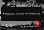 Standbild Hawaiian Arbeitnehmer Hawaii USA, 1916, aus Sekunde 1 historischem Filmmaterial Videoclip 65675022623