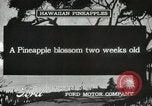 Standbild Hawaiian Arbeitnehmer Hawaii USA, 1916, aus Sekunde 3 historischem Filmmaterial Videoclip 65675022623