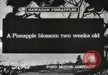 Standbild Hawaiian Arbeitnehmer Hawaii USA, 1916, aus Sekunde 4 historischem Filmmaterial Videoclip 65675022623