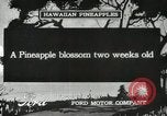 Standbild Hawaiian Arbeitnehmer Hawaii USA, 1916, aus Sekunde 5 historischem Filmmaterial Videoclip 65675022623