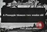 Standbild Hawaiian Arbeitnehmer Hawaii USA, 1916, aus Sekunde 6 historischem Filmmaterial Videoclip 65675022623