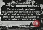 Standbild Hawaiian Arbeitnehmer Hawaii USA, 1916, aus Sekunde 16 historischem Filmmaterial Videoclip 65675022623