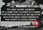 Standbild Hawaiian Arbeitnehmer Hawaii USA, 1916, aus Sekunde 23 historischem Filmmaterial Videoclip 65675022623