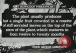 Standbild Hawaiian Arbeitnehmer Hawaii USA, 1916, aus Sekunde 26 historischem Filmmaterial Videoclip 65675022623