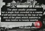 Standbild Hawaiian Arbeitnehmer Hawaii USA, 1916, aus Sekunde 29 historischem Filmmaterial Videoclip 65675022623