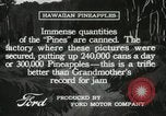 Standbild Hawaiian Arbeitnehmer Hawaii USA, 1916, aus Sekunde 40 historischem Filmmaterial Videoclip 65675022623