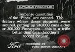 Standbild Hawaiian Arbeitnehmer Hawaii USA, 1916, aus Sekunde 47 historischem Filmmaterial Videoclip 65675022623