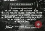 Standbild Hawaiian Arbeitnehmer Hawaii USA, 1916, aus Sekunde 49 historischem Filmmaterial Videoclip 65675022623