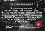 Standbild Hawaiian Arbeitnehmer Hawaii USA, 1916, aus Sekunde 50 historischem Filmmaterial Videoclip 65675022623