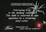 Standbild Hawaiian Arbeitnehmer Hawaii USA, 1916, aus Sekunde 55 historischem Filmmaterial Videoclip 65675022623