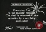 Standbild Hawaiian Arbeitnehmer Hawaii USA, 1916, aus Sekunde 56 historischem Filmmaterial Videoclip 65675022623