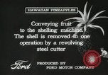 Standbild Hawaiian Arbeitnehmer Hawaii USA, 1916, aus Sekunde 58 historischem Filmmaterial Videoclip 65675022623