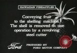 Standbild Hawaiian Arbeitnehmer Hawaii USA, 1916, aus Sekunde 59 historischem Filmmaterial Videoclip 65675022623
