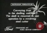 Standbild Hawaiian Arbeitnehmer Hawaii USA, 1916, aus Sekunde 60 historischem Filmmaterial Videoclip 65675022623