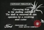Standbild Hawaiian Arbeitnehmer Hawaii USA, 1916, aus Sekunde 61 historischem Filmmaterial Videoclip 65675022623