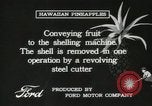 Standbild Hawaiian Arbeitnehmer Hawaii USA, 1916, aus Sekunde 62 historischem Filmmaterial Videoclip 65675022623