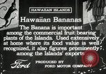 Image plantation de banane Hawaii USA, 1916, de la seconde 5 séquences d'archives historiques vidéo 65675022624