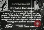 Image plantation de banane Hawaii USA, 1916, de la seconde 6 séquences d'archives historiques vidéo 65675022624