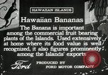 Image plantation de banane Hawaii USA, 1916, de la seconde 9 séquences d'archives historiques vidéo 65675022624