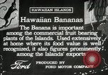 Image plantation de banane Hawaii USA, 1916, de la seconde 11 séquences d'archives historiques vidéo 65675022624