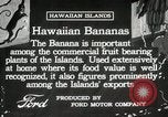 Image plantation de banane Hawaii USA, 1916, de la seconde 12 séquences d'archives historiques vidéo 65675022624