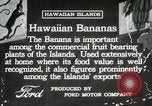 Image plantation de banane Hawaii USA, 1916, de la seconde 13 séquences d'archives historiques vidéo 65675022624