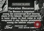 Image plantation de banane Hawaii USA, 1916, de la seconde 14 séquences d'archives historiques vidéo 65675022624