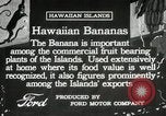 Image plantation de banane Hawaii USA, 1916, de la seconde 15 séquences d'archives historiques vidéo 65675022624