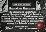 Image plantation de banane Hawaii USA, 1916, de la seconde 16 séquences d'archives historiques vidéo 65675022624