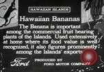 Image plantation de banane Hawaii USA, 1916, de la seconde 17 séquences d'archives historiques vidéo 65675022624
