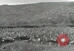 Image plantation de banane Hawaii USA, 1916, de la seconde 37 séquences d'archives historiques vidéo 65675022624