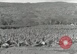 Image plantation de banane Hawaii USA, 1916, de la seconde 53 séquences d'archives historiques vidéo 65675022624