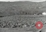 Image plantation de banane Hawaii USA, 1916, de la seconde 56 séquences d'archives historiques vidéo 65675022624