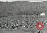 Image plantation de banane Hawaii USA, 1916, de la seconde 57 séquences d'archives historiques vidéo 65675022624