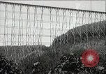 Standbild Zuckerrohr Felder Hawaii USA, 1916, aus Sekunde 3 historischem Filmmaterial Videoclip 65675022626