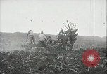 Standbild Zuckerrohr Felder Hawaii USA, 1916, aus Sekunde 5 historischem Filmmaterial Videoclip 65675022626