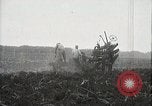 Standbild Zuckerrohr Felder Hawaii USA, 1916, aus Sekunde 7 historischem Filmmaterial Videoclip 65675022626